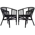 Fauteuil d'appoint en rotin Adriana - ACH6505 - Lot de 2 - Safavieh